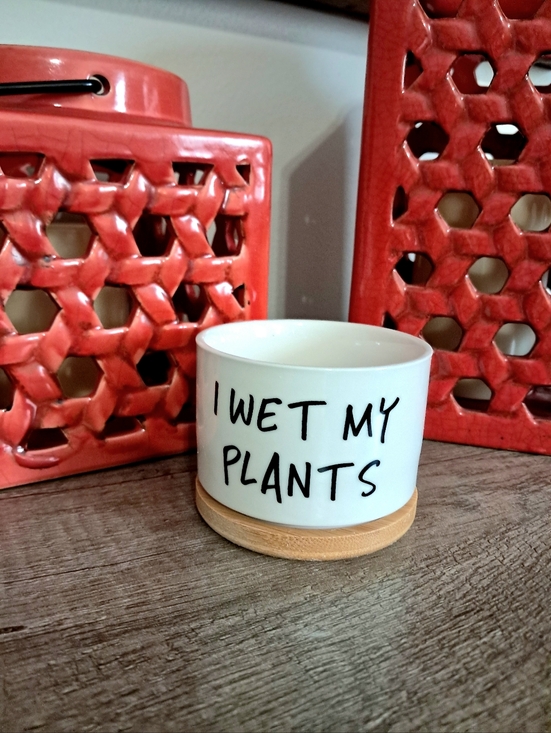 Other - I Wet My Plants Ceramic Planter with Bamboo Tray